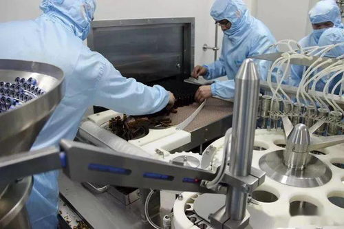 加速融入长三角一体化，看肥西美丽嬗变